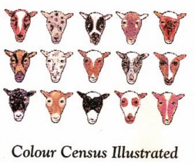 Color Census Book