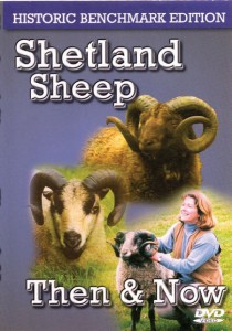 Shetland Sheep Then & Now DVD