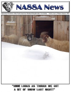 Winter 2014 NASSA News cover