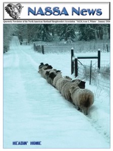 Winter 2016 NASSA News cover
