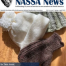 Thumbnail image for Spring 2025 NASSA News